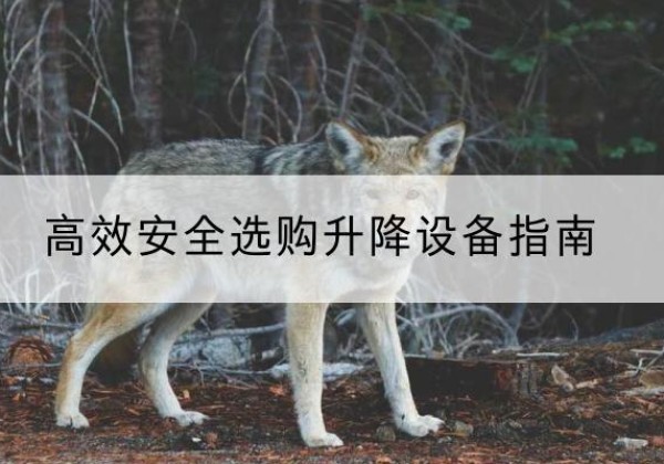 潮阳升降货梯厂家推荐-*安全选购升降设备指南