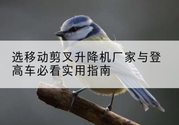 潮阳电动升降机厂家-选移动剪叉升降机厂家与登高车必看实用指南