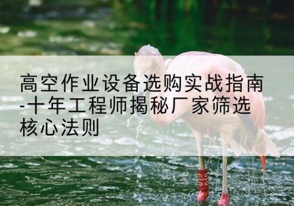 潮阳剪叉式升降机厂家-高空作业设备选购实战指南-十年工程师揭秘厂家筛选核心法则