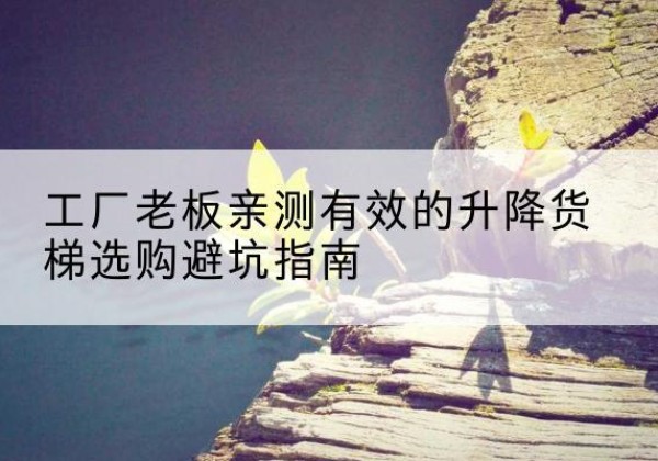 潮阳升降货梯怎么选-工厂老板亲测有效的升降货梯选购避坑指南